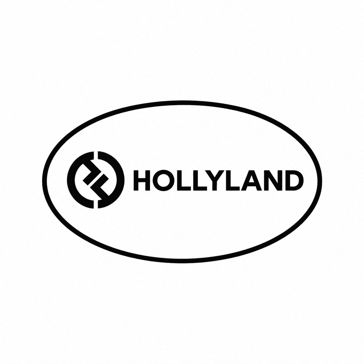 Hollyland